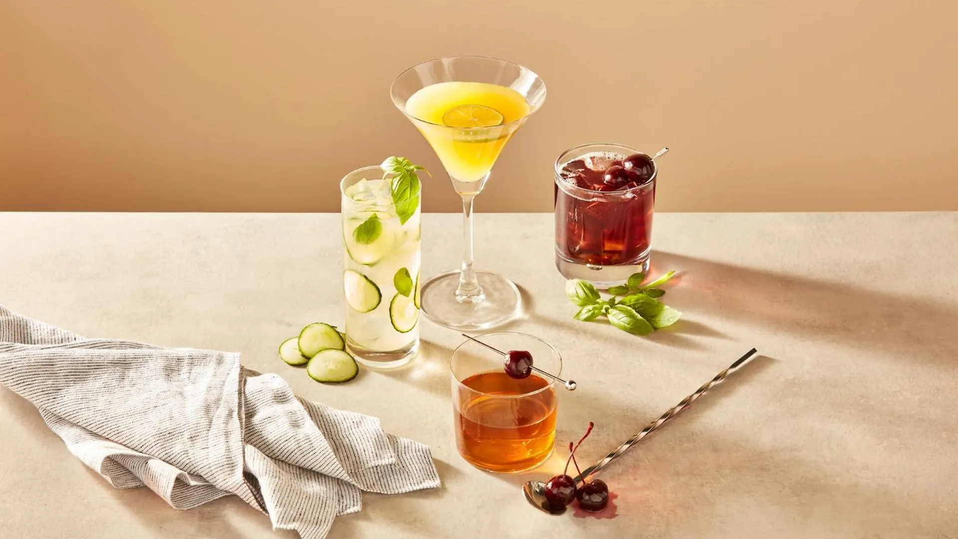 Hotel Holiday Inn Nashville Airport By Ihg
